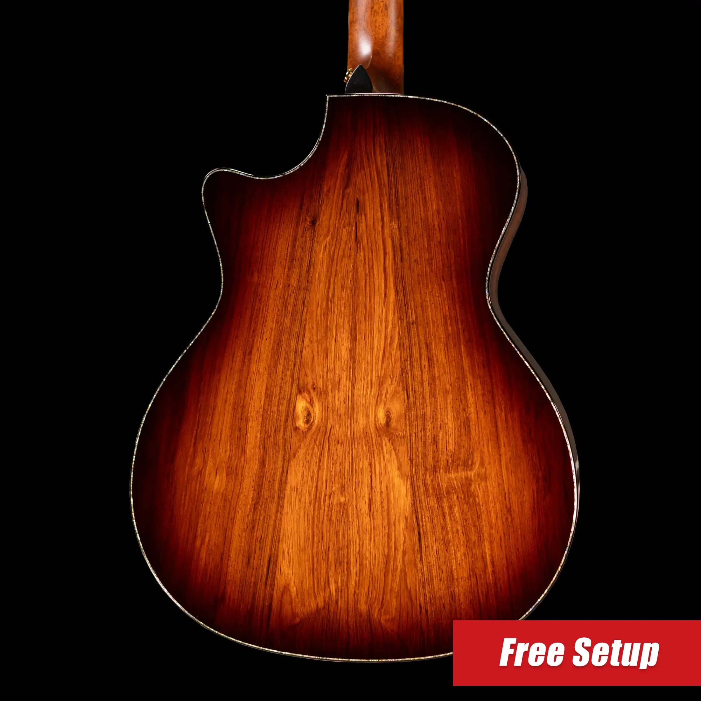 Taylor Next Generation PS14ce Presentation Series Grand Auditorium Acoustic/Electric Guitar - Honduran Rosewood/Sinker Redwood with Hardshell Case