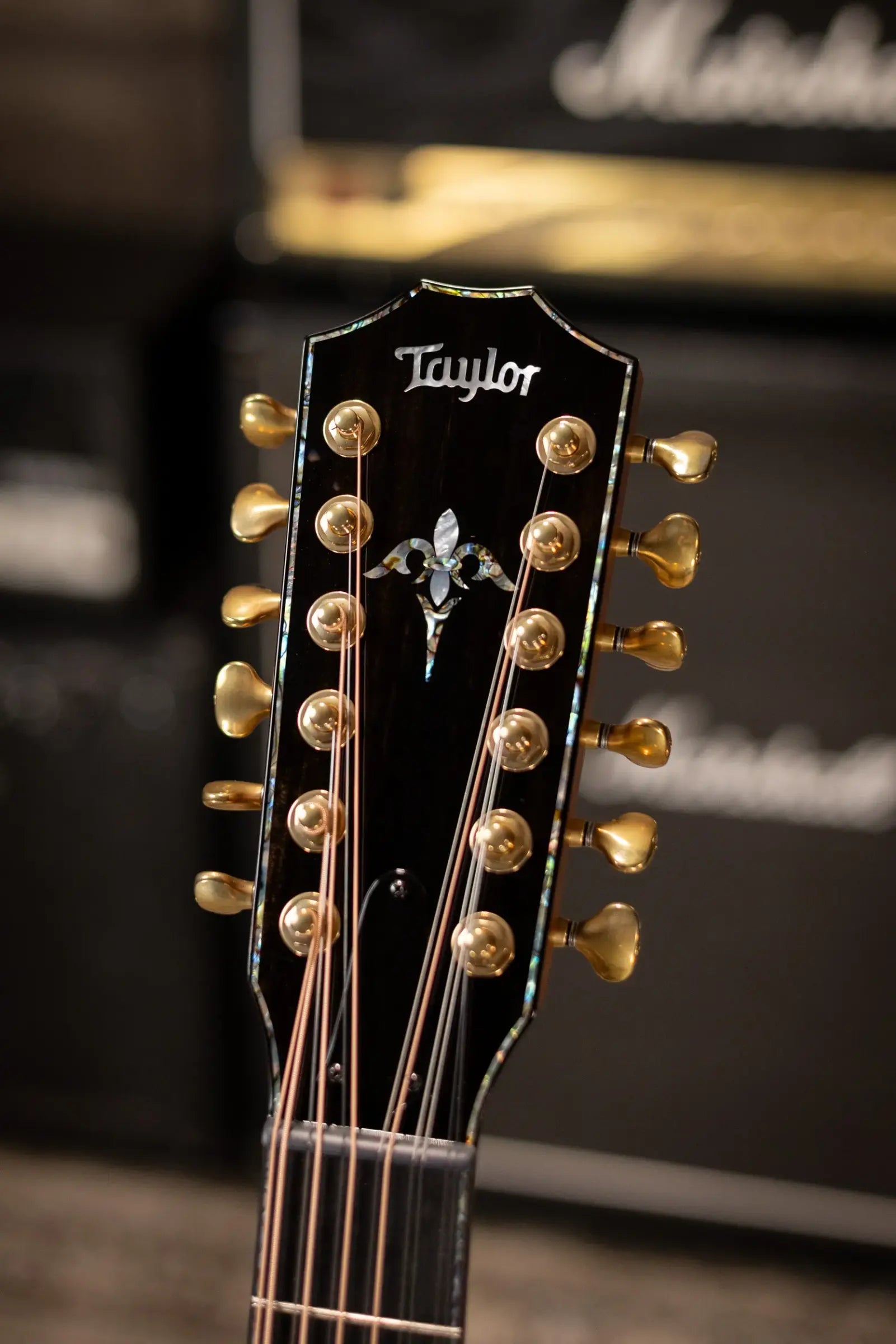 Taylor Next Generation PS54ce Presentation Series 12-String Grand Auditorium Acoustic/Electric Guitar - Honduran Rosewood/Adirondack Spruce with Hardshell Case