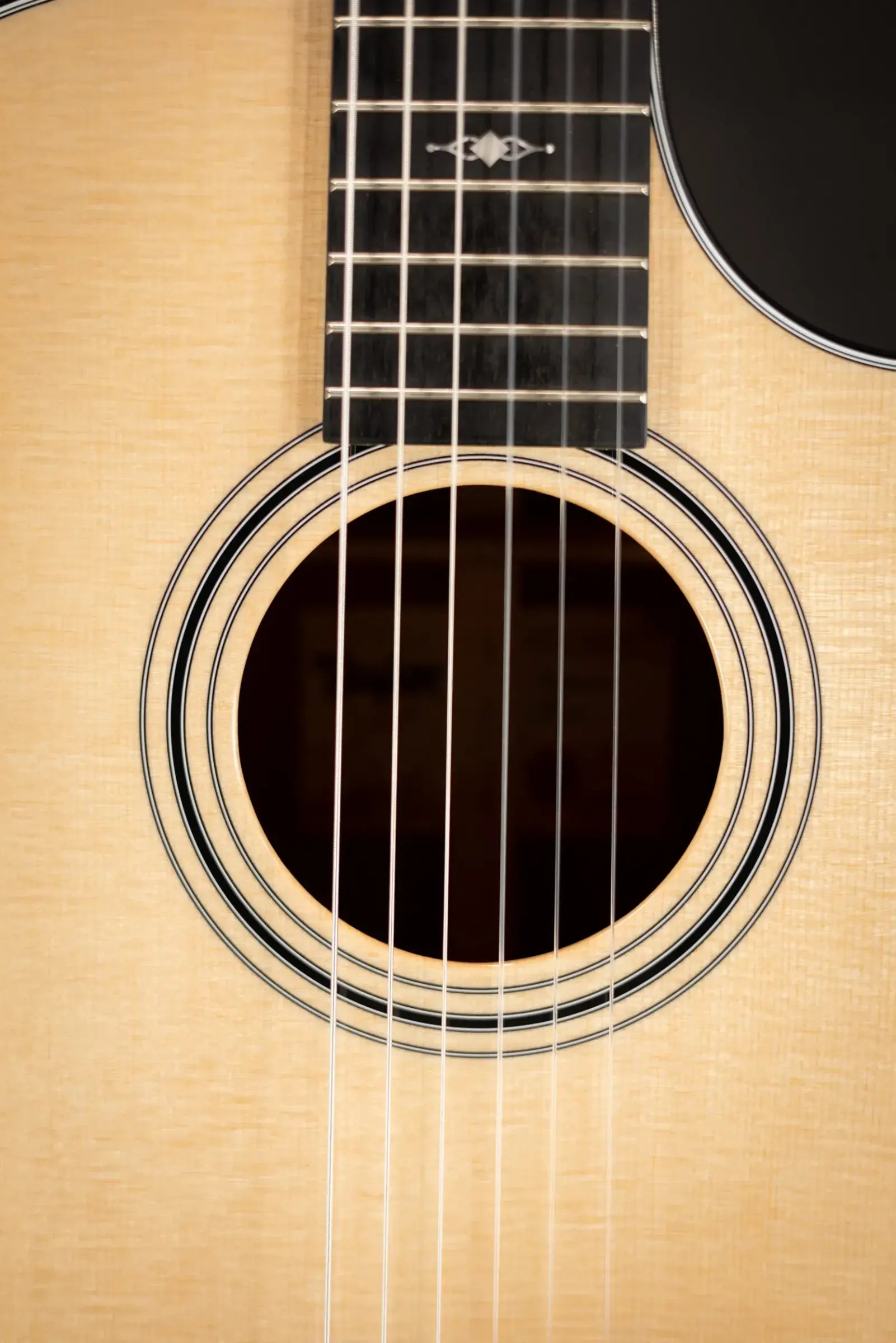 Taylor 314ce-N Nylon Grand Auditorium Acoustic/Electric Guitar with Hardshell Case