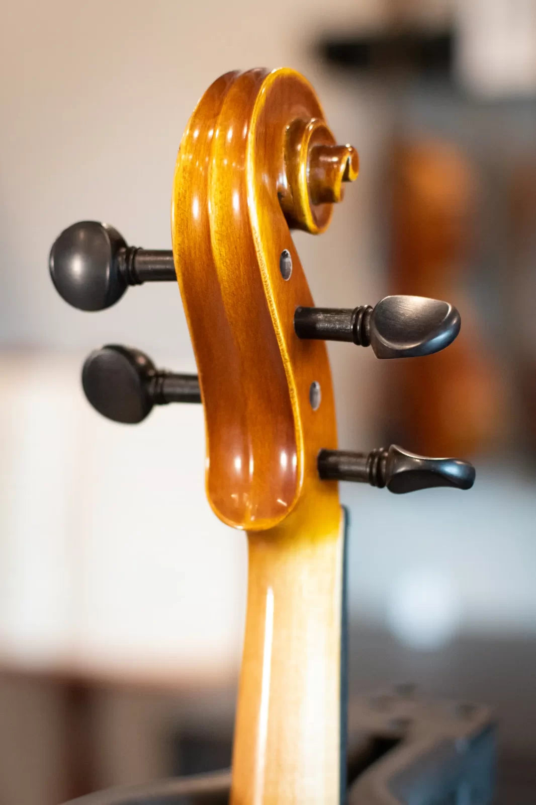 (Rental) Howard Core A25e Viola Rental Outfit - 14"