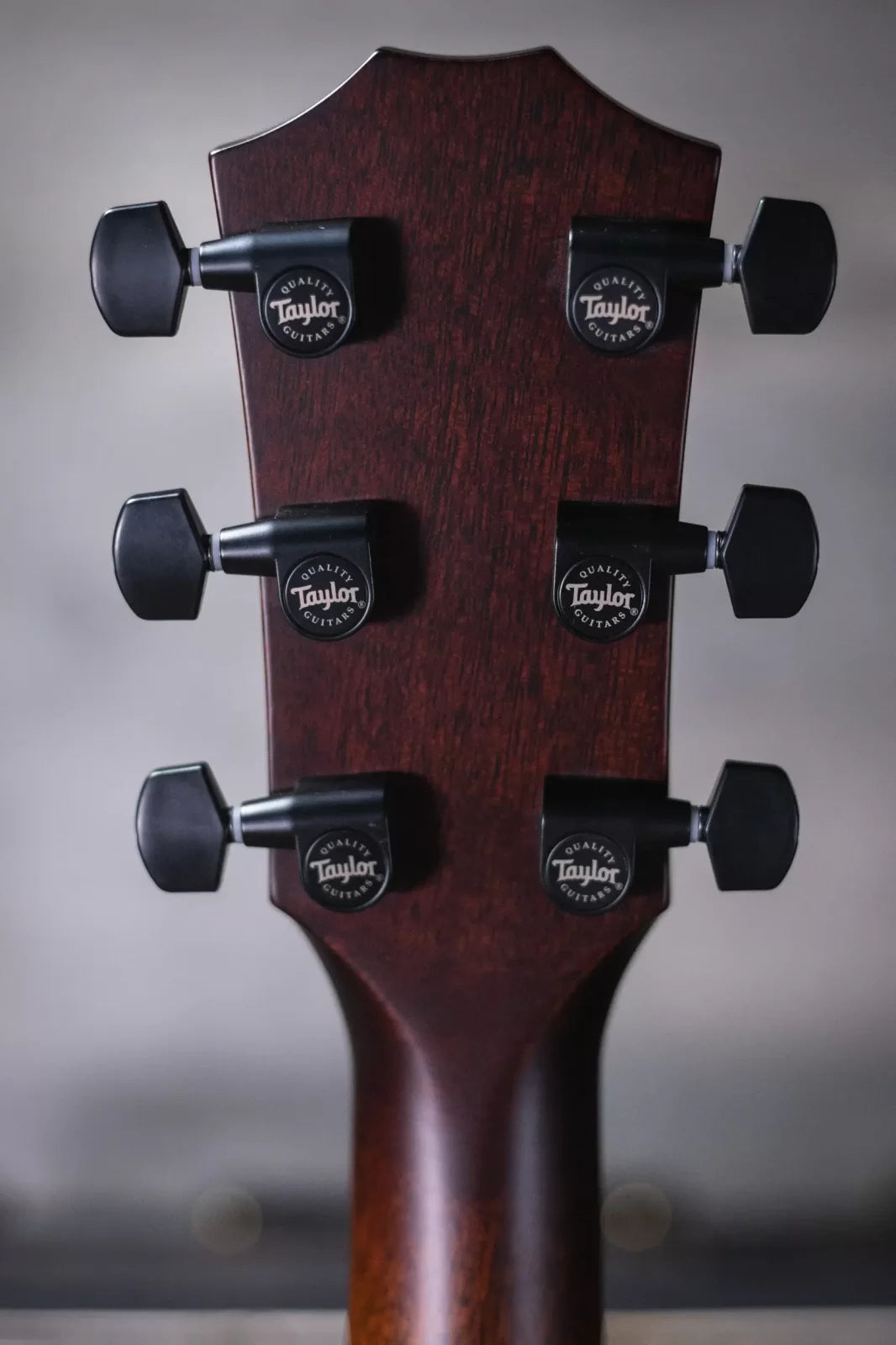 Taylor Custom Catch 2023 C22e #25 Grand Concert Acoustic/Electric Guitar & Circa 74 Amplifier Combo