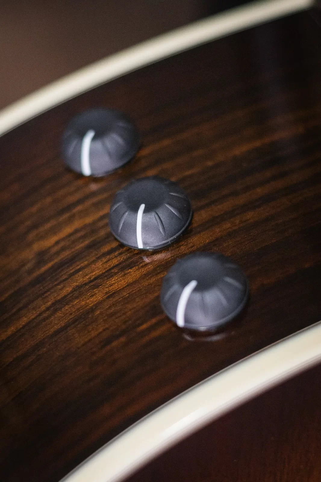 Taylor Custom Catch 2023 C22e #25 Grand Concert Acoustic/Electric Guitar & Circa 74 Amplifier Combo