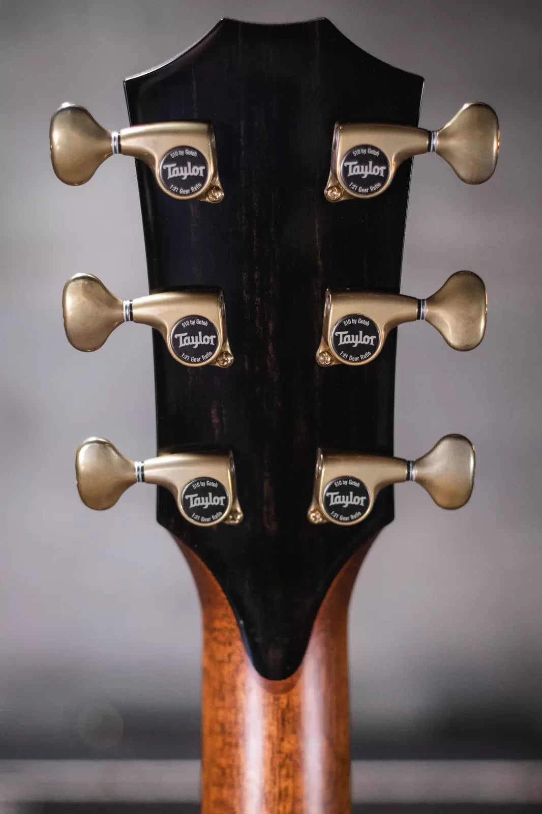 Taylor PS14ce Honduran Rosewood/Sinker Redwood Acoustic/Electric with Deluxe with Hardshell Case