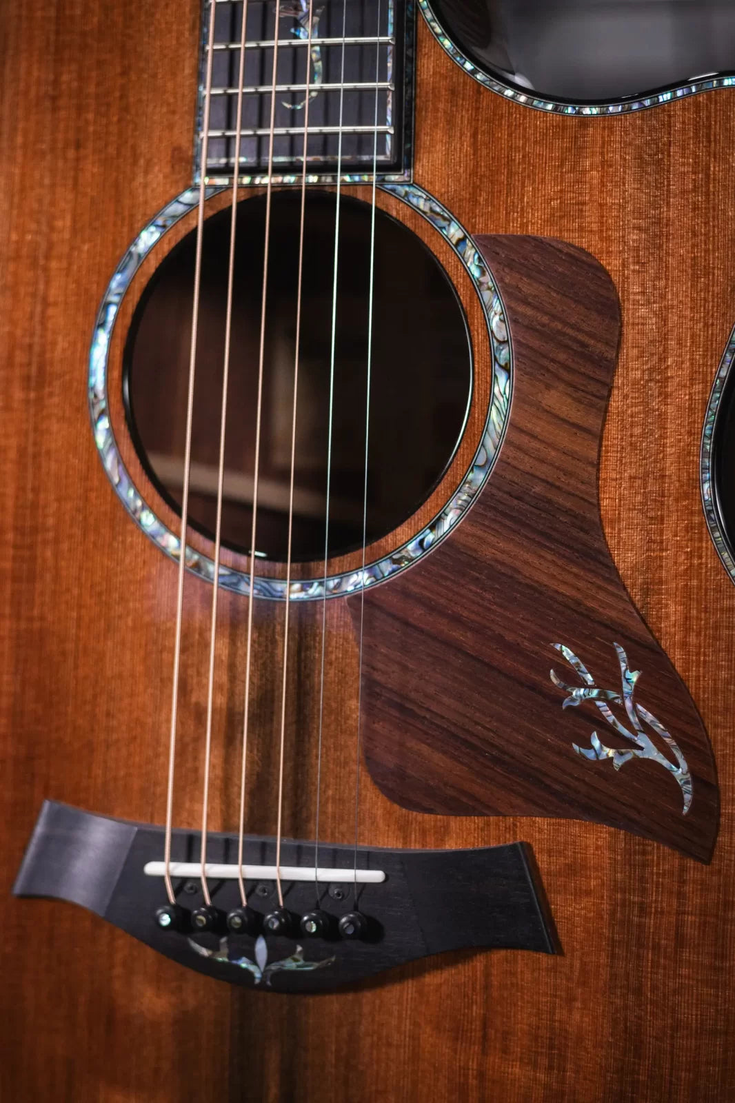 Taylor PS14ce Honduran Rosewood/Sinker Redwood Acoustic/Electric with Deluxe with Hardshell Case
