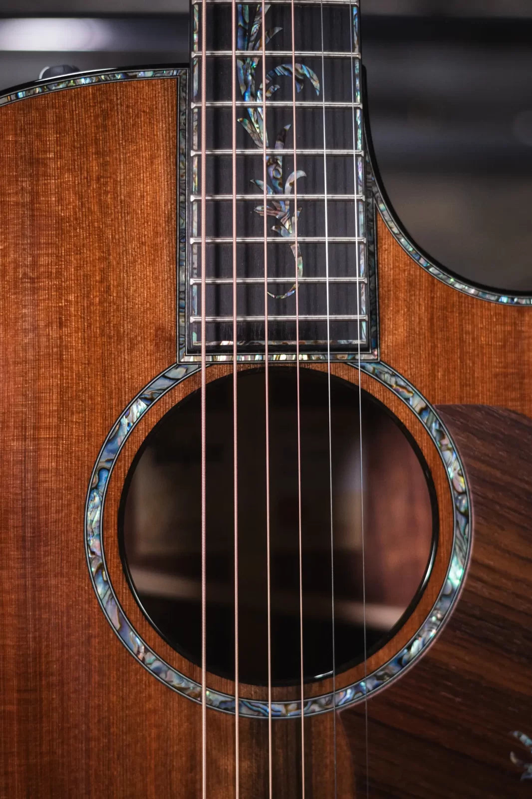 Taylor PS14ce Honduran Rosewood/Sinker Redwood Acoustic/Electric with Deluxe with Hardshell Case