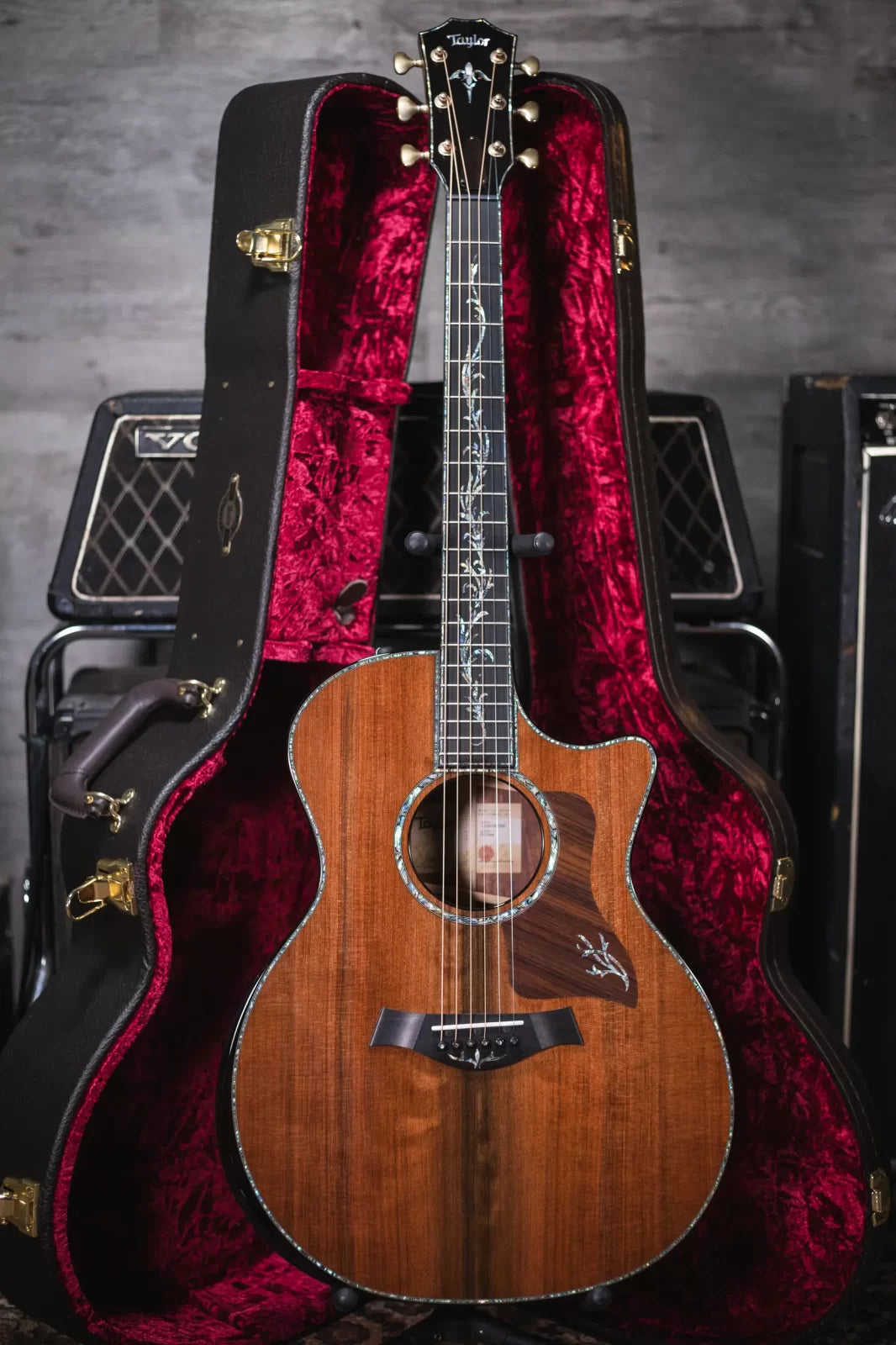 Taylor PS14ce Honduran Rosewood/Sinker Redwood Acoustic/Electric with Deluxe with Hardshell Case