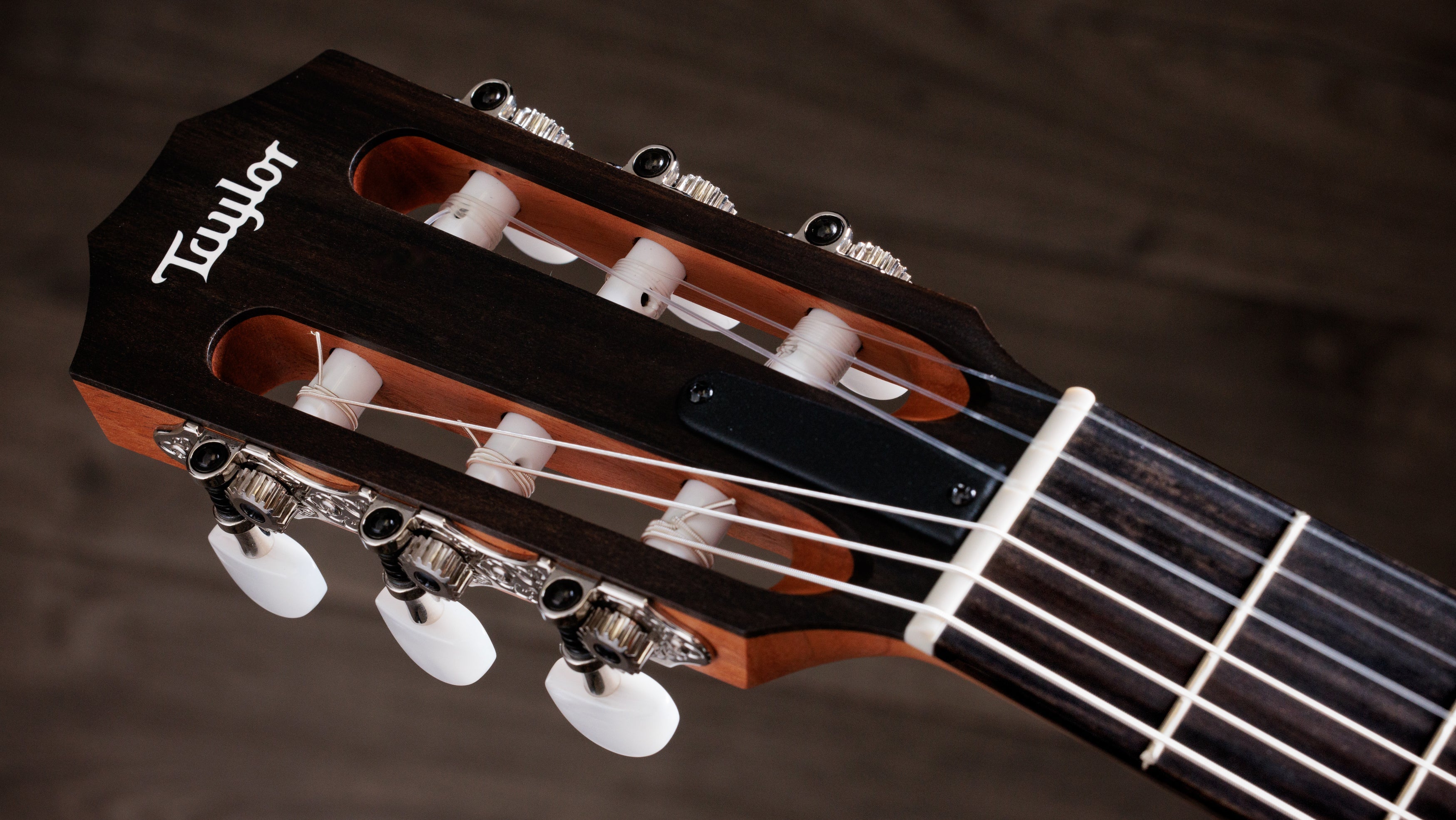Taylor Nylon | Haggerty's Music Inc