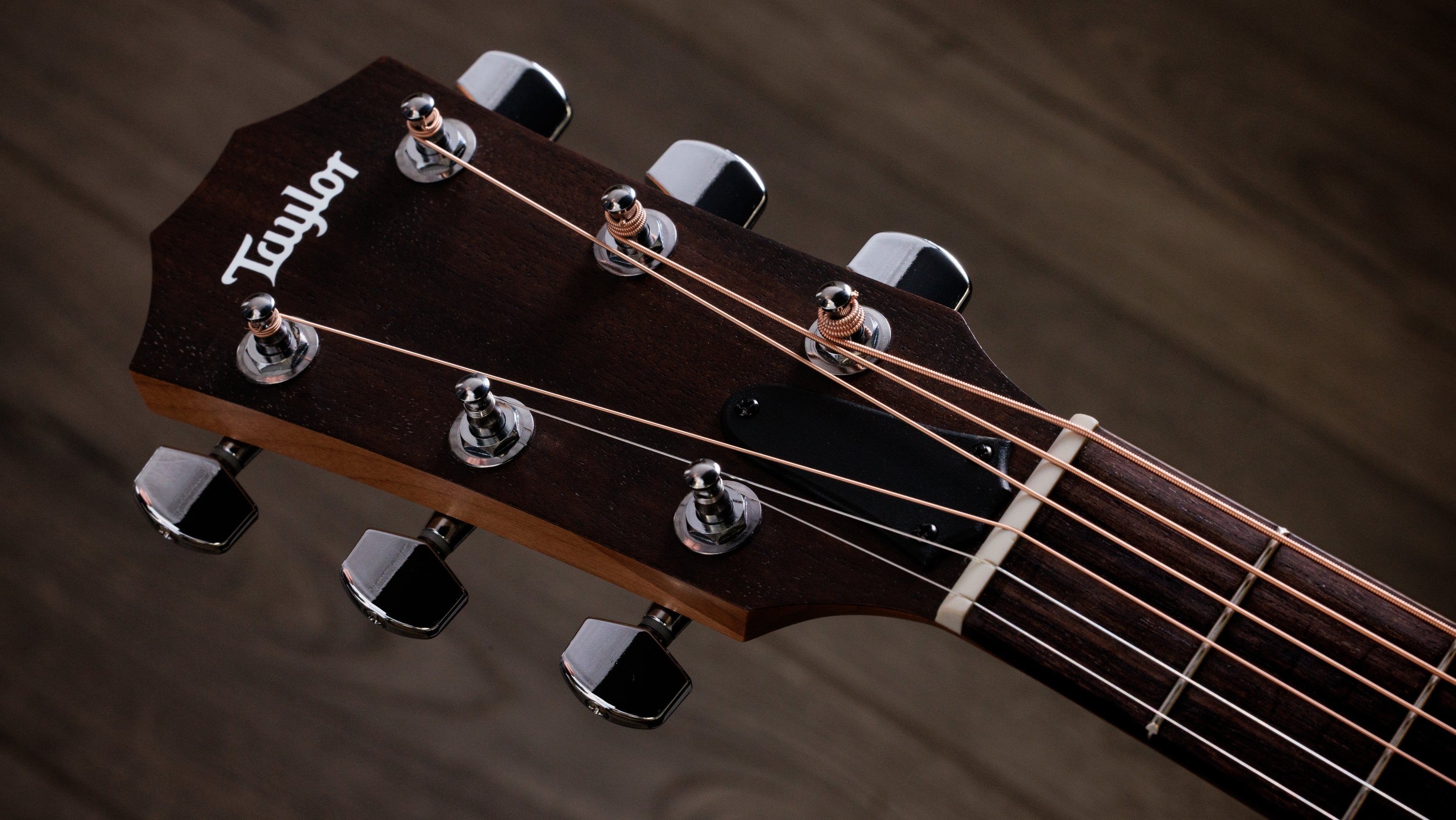 Taylor Left-Handed | Haggerty's Music Inc