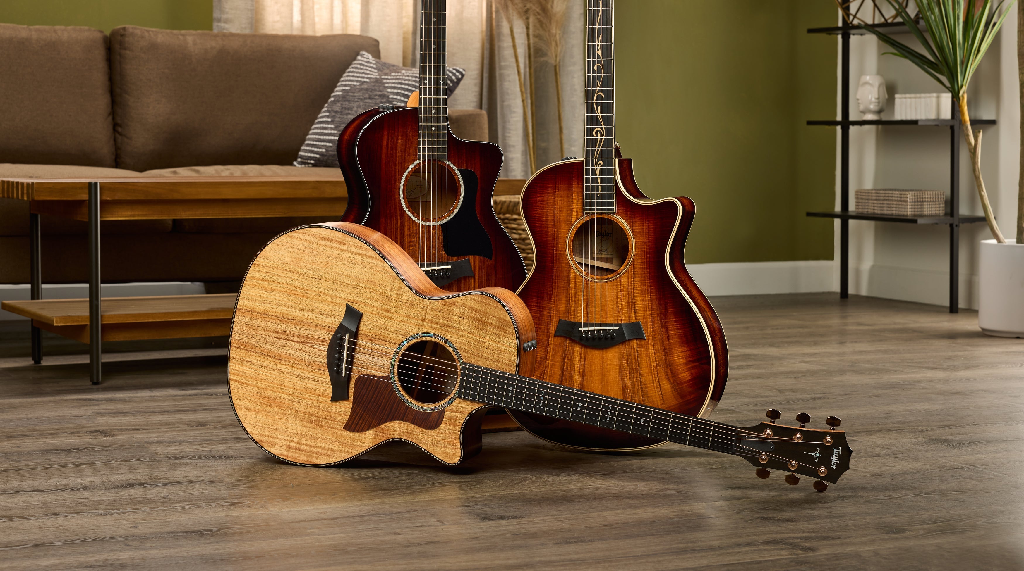 Taylor Koa Series | Haggerty's Music Inc