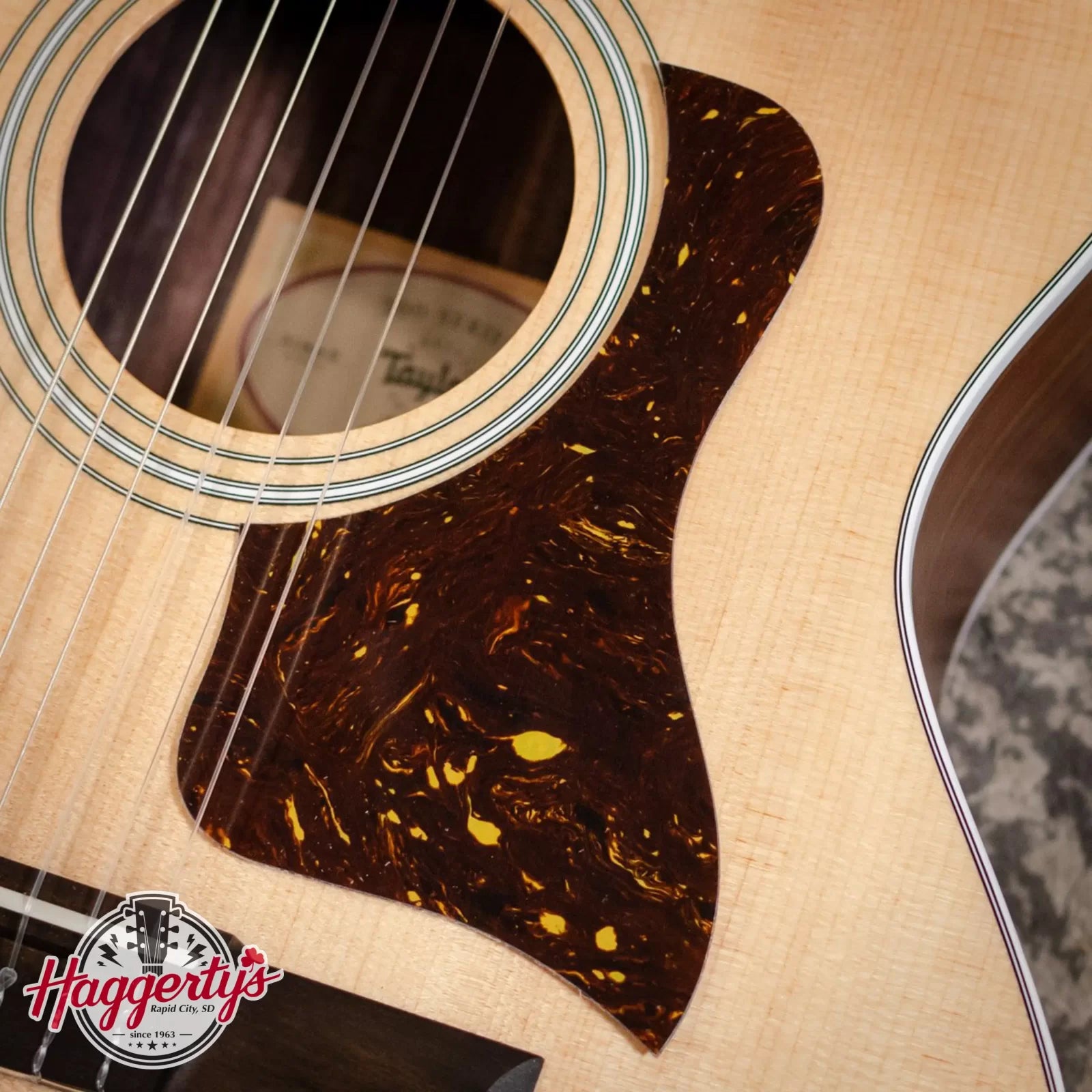 Taylor Pickguard Right Handed, GA/GS 5.5", Tortoise