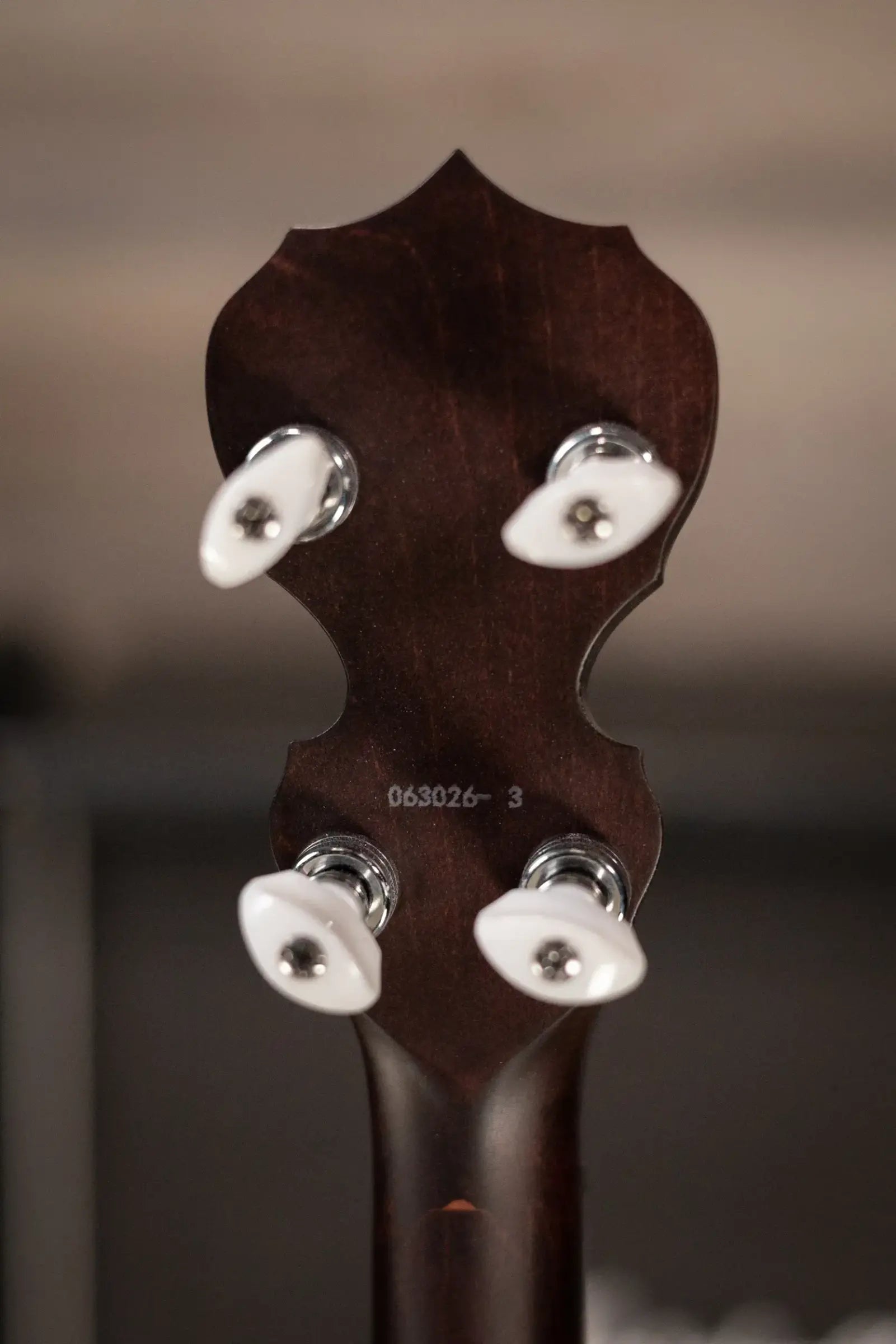Deering Artisan Goodtime Special 5-String Banjo with Resonator