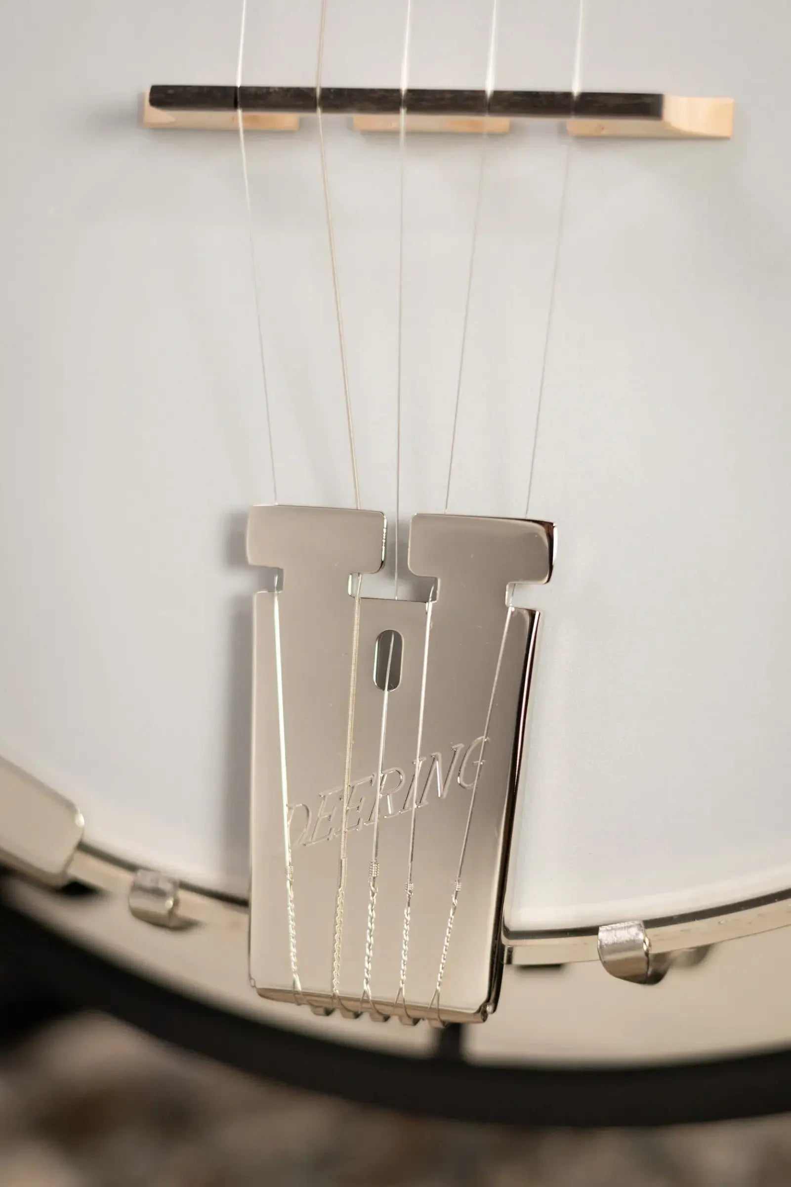 Deering Artisan Goodtime Special 5-String Banjo with Resonator