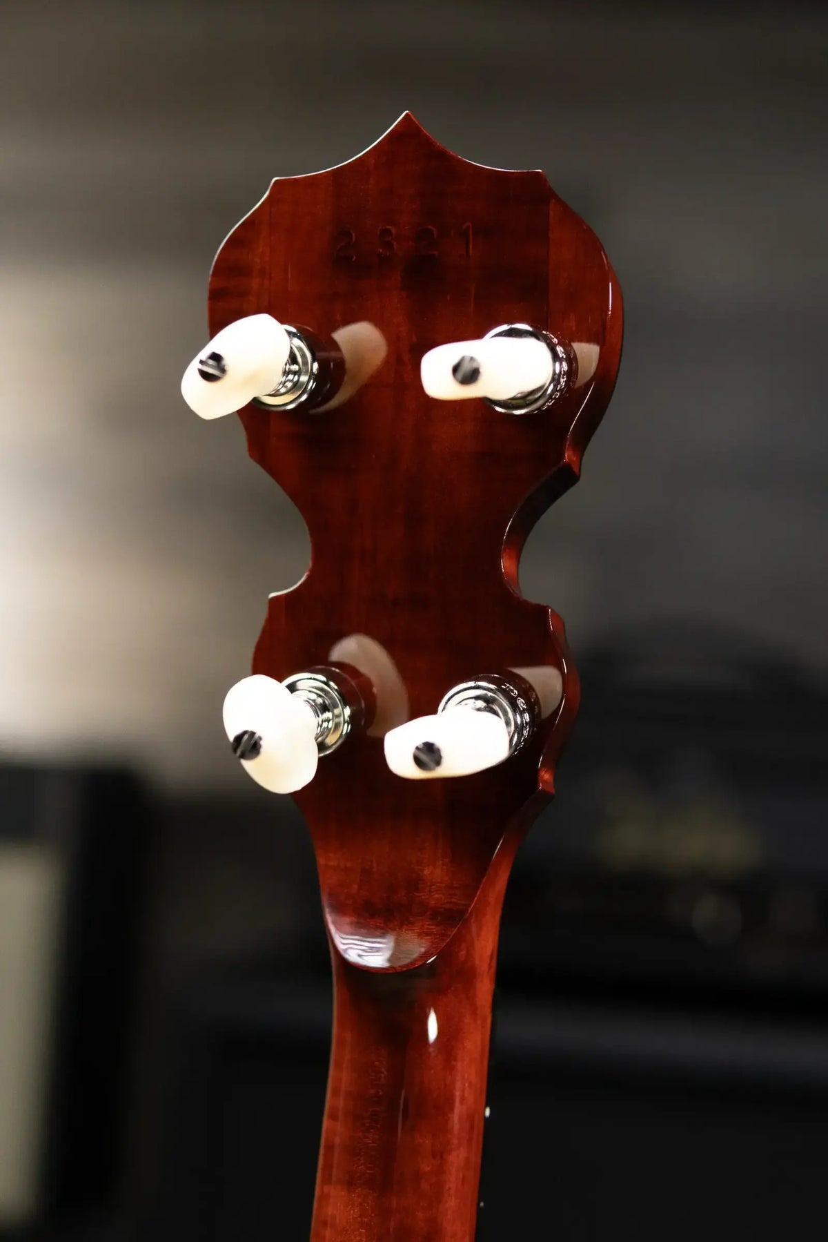 Deering Eagle II 5-String Banjo with Hardshell Case