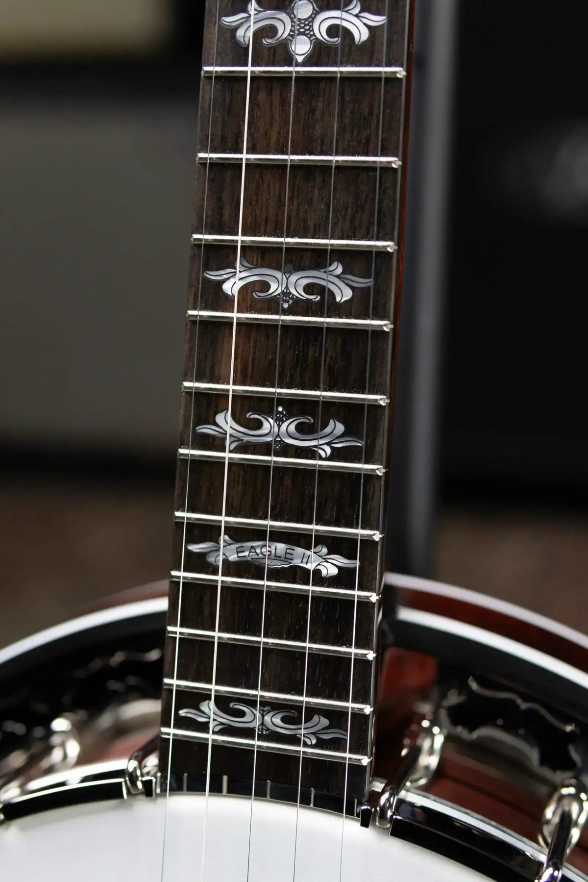 Deering Eagle II 5-String Banjo with Hardshell Case