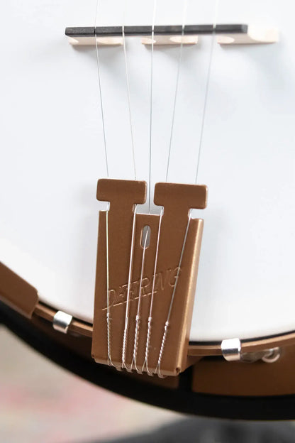 Deering Goodtime Two 5-String with Resonator Banjo