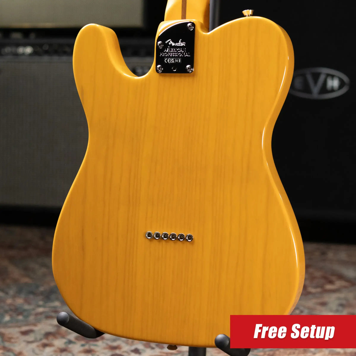 Fender American Professional Telecaster Electric Guitar - Butterscotch Blonde with Hardshell Case
