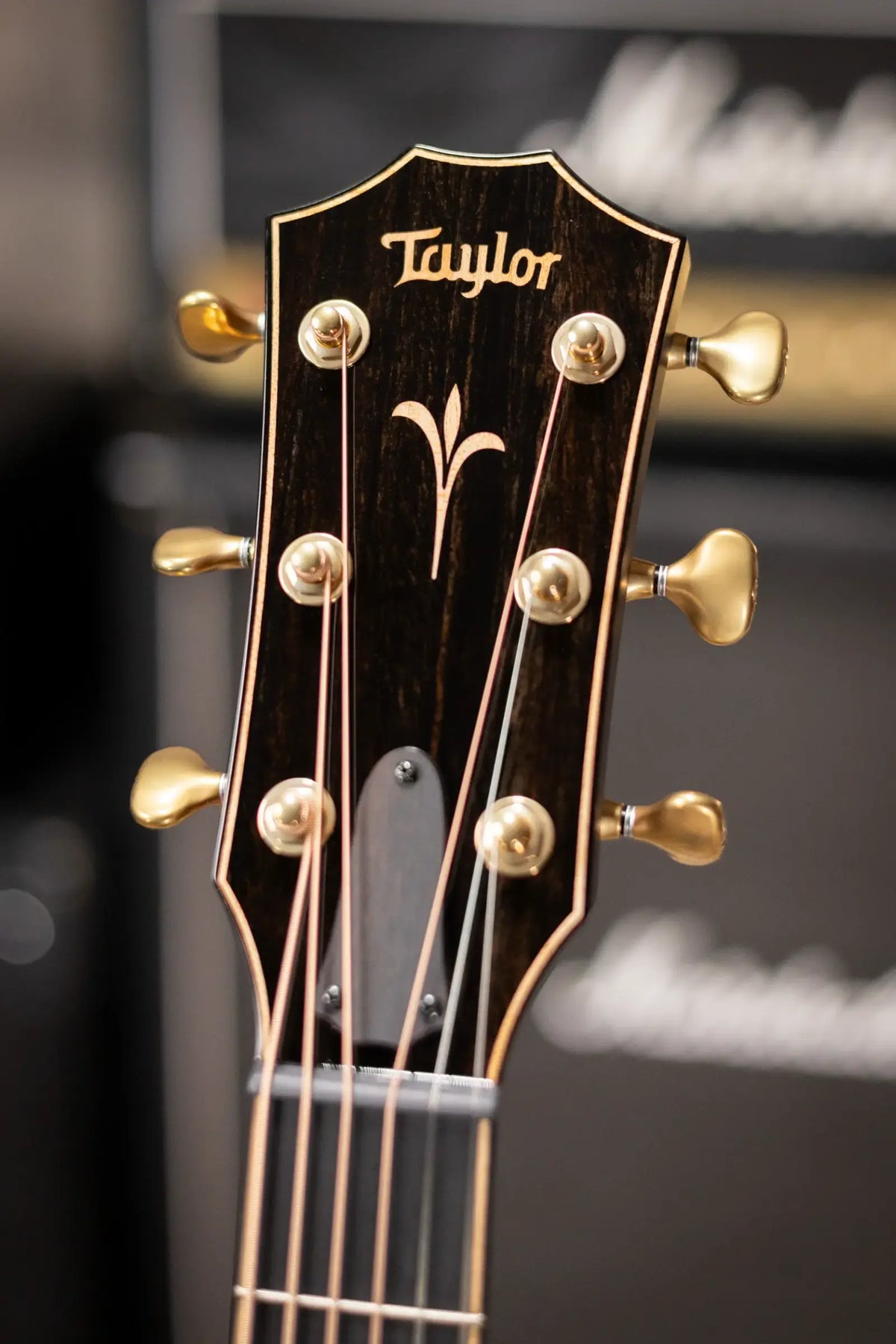 Taylor Next Generation K24ce Grand Auditorium Acoustic/Electric Guitar - Shaded Edgeburst with Hardshell Case
