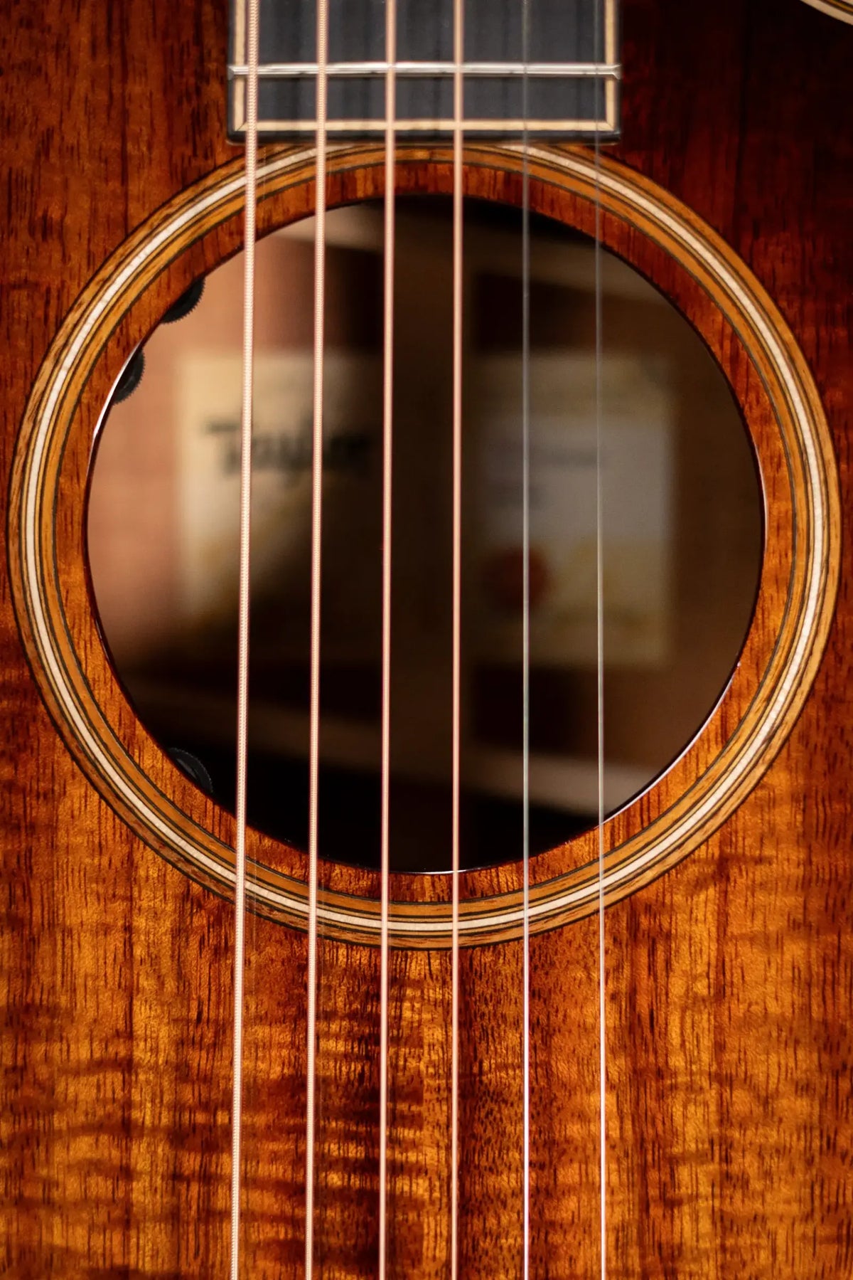 Taylor Next Generation K24ce Grand Auditorium Acoustic/Electric Guitar - Shaded Edgeburst with Hardshell Case