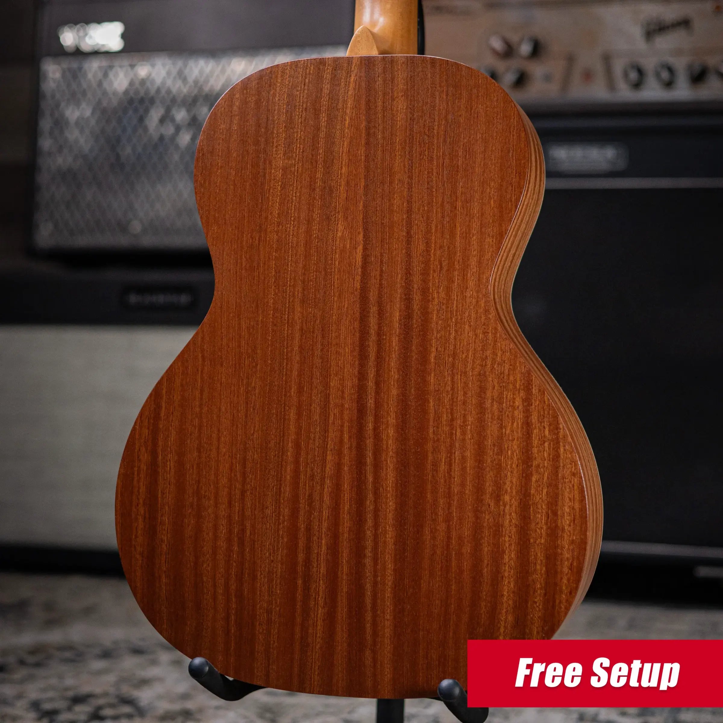 Martin 00L Biosphere IV Acoustic Guitar - Custom Emperor Penguin Ink with Gig Bag