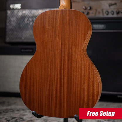 Martin 00L Biosphere IV Acoustic Guitar - Custom Emperor Penguin Ink with Gig Bag