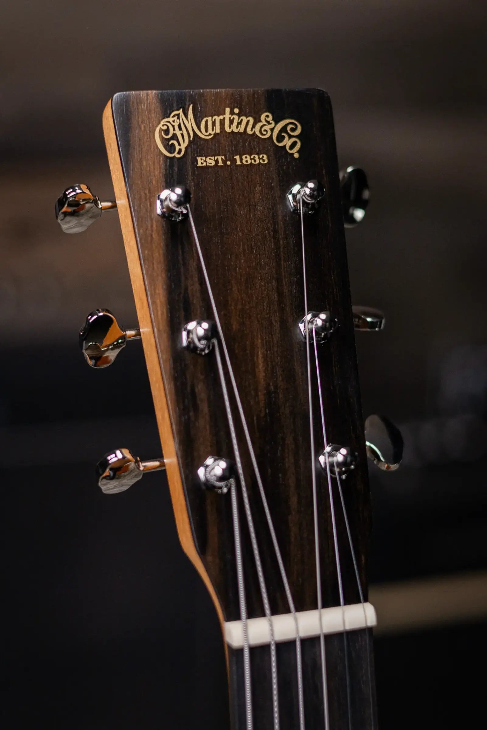 Martin 00L Biosphere IV Acoustic Guitar - Custom Emperor Penguin Ink with Gig Bag