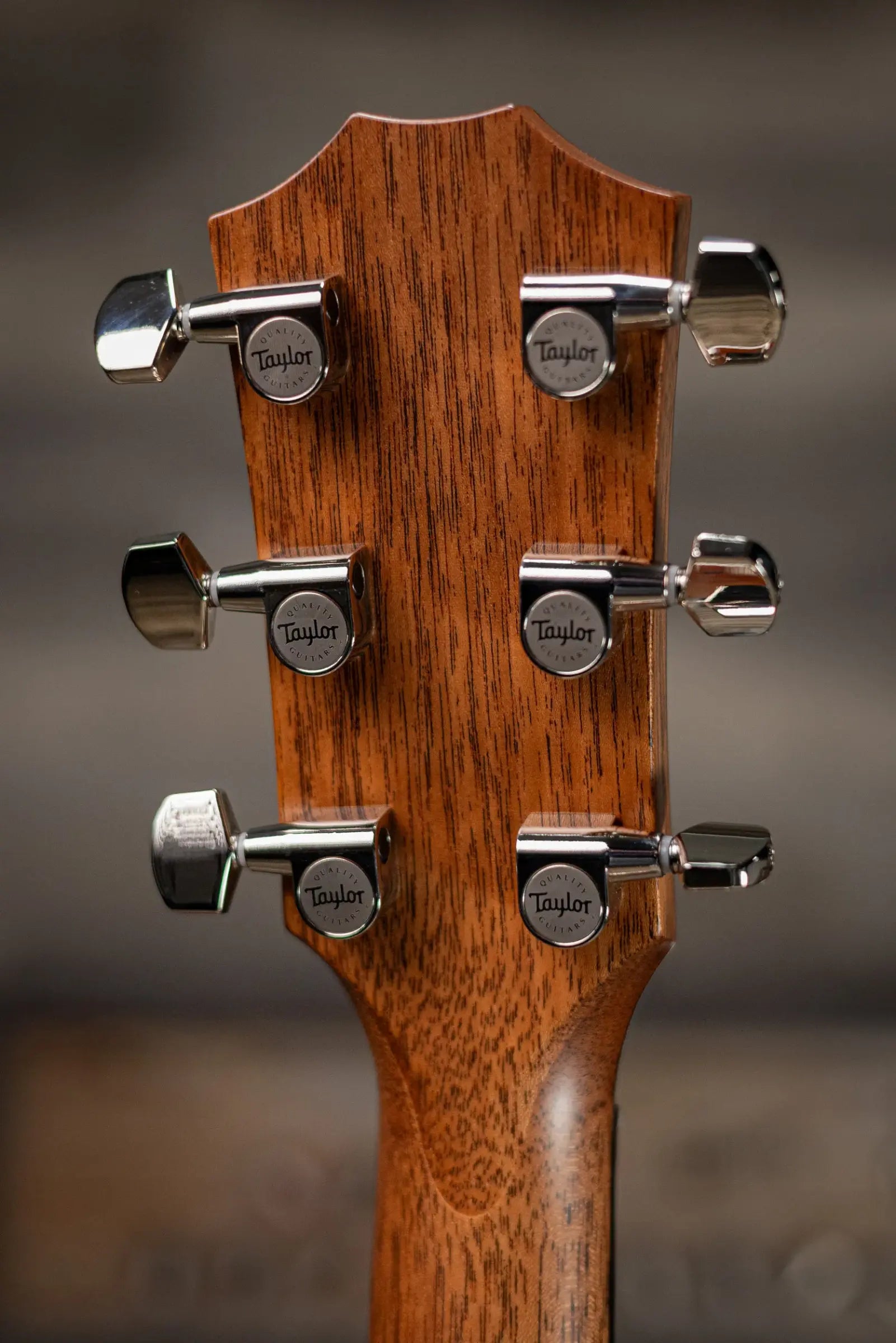 Taylor Next Generation 512ce Grand Concert Acoustic/Electric Guitar with Hardshell Case