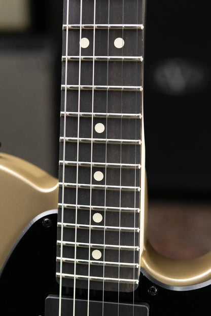 Fender Limited Edition Jim Root Telecaster Electric Guitar - Shoreline Gold with Hardshell Case