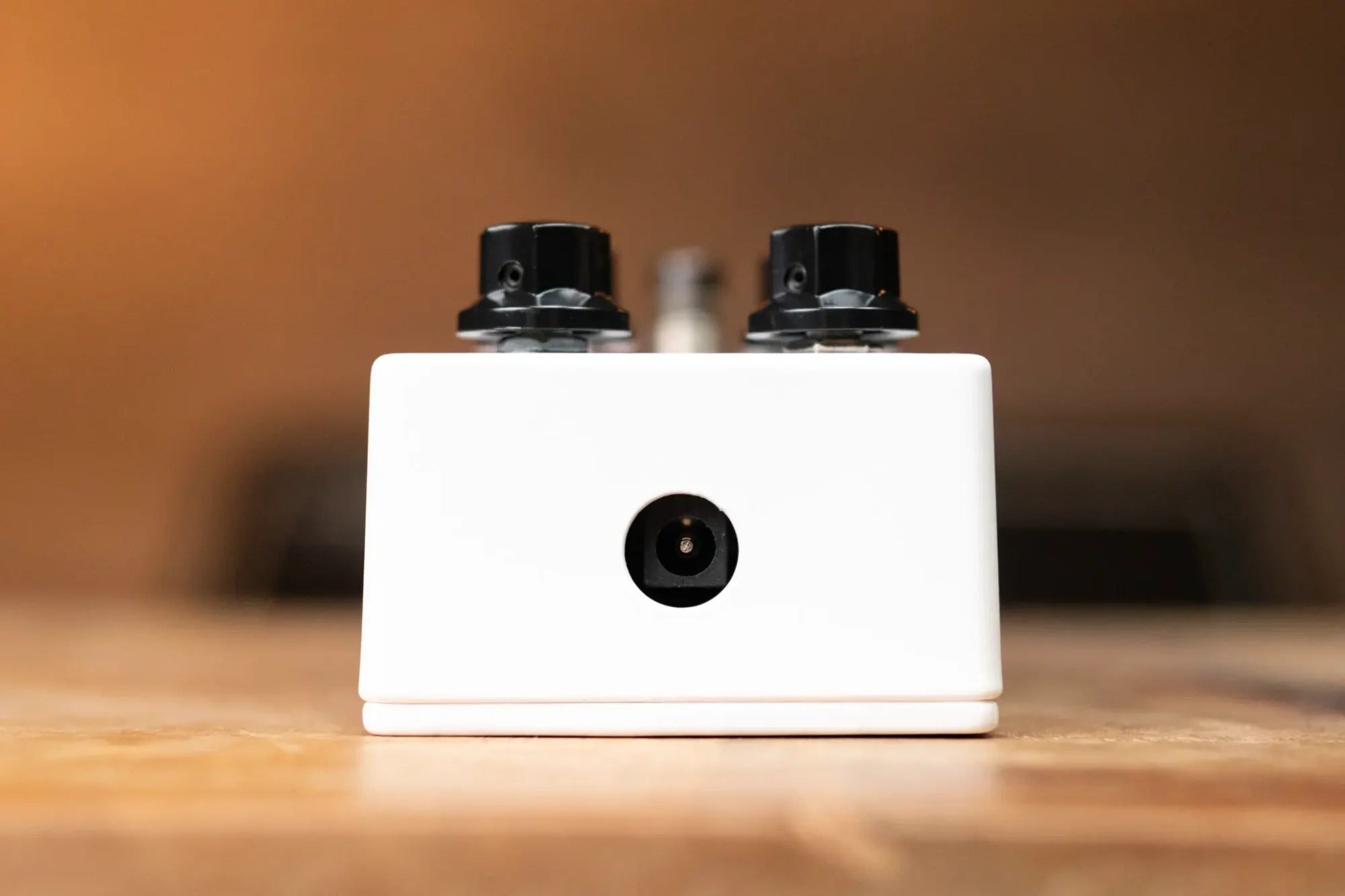 EMBARGO 8 19 new JHS Packrat White Distortion haggertys 4