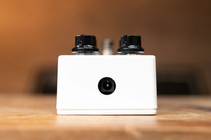 EMBARGO 8 19 new JHS Packrat White Distortion haggertys 4