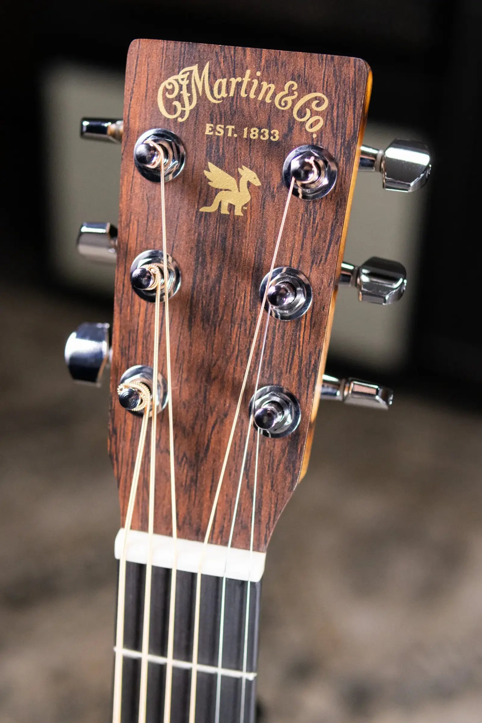 Martin LX2 Life is Good Acoustic/Electric Guitar with Gig Bag