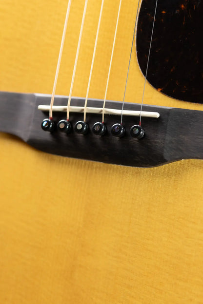 Martin GPC-16E 16 Series Acoustic/Electric Guitar - Natural with Gig Bag