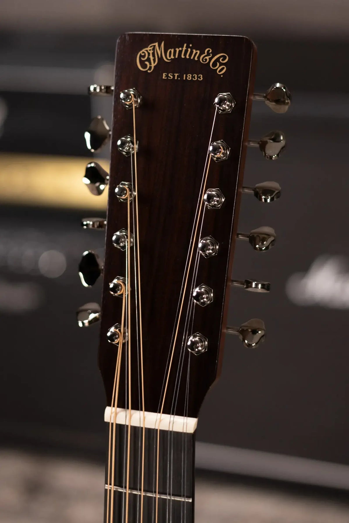 Martin Grand J16E 12-String Acoustic/Electric Guitar with Gig Bag