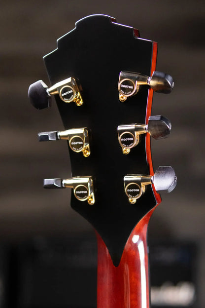Eastman AR480CE-SB John Pisano Signature Archtop Hollowbody Electric Guitar - Sunburst with Hardshell Case