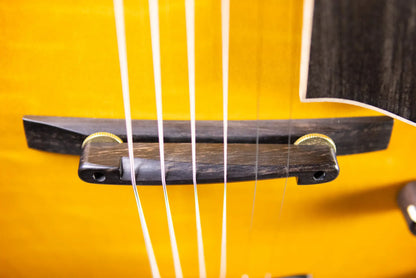 Eastman AR480CE-SB John Pisano Signature Archtop Hollowbody Electric Guitar - Sunburst with Hardshell Case