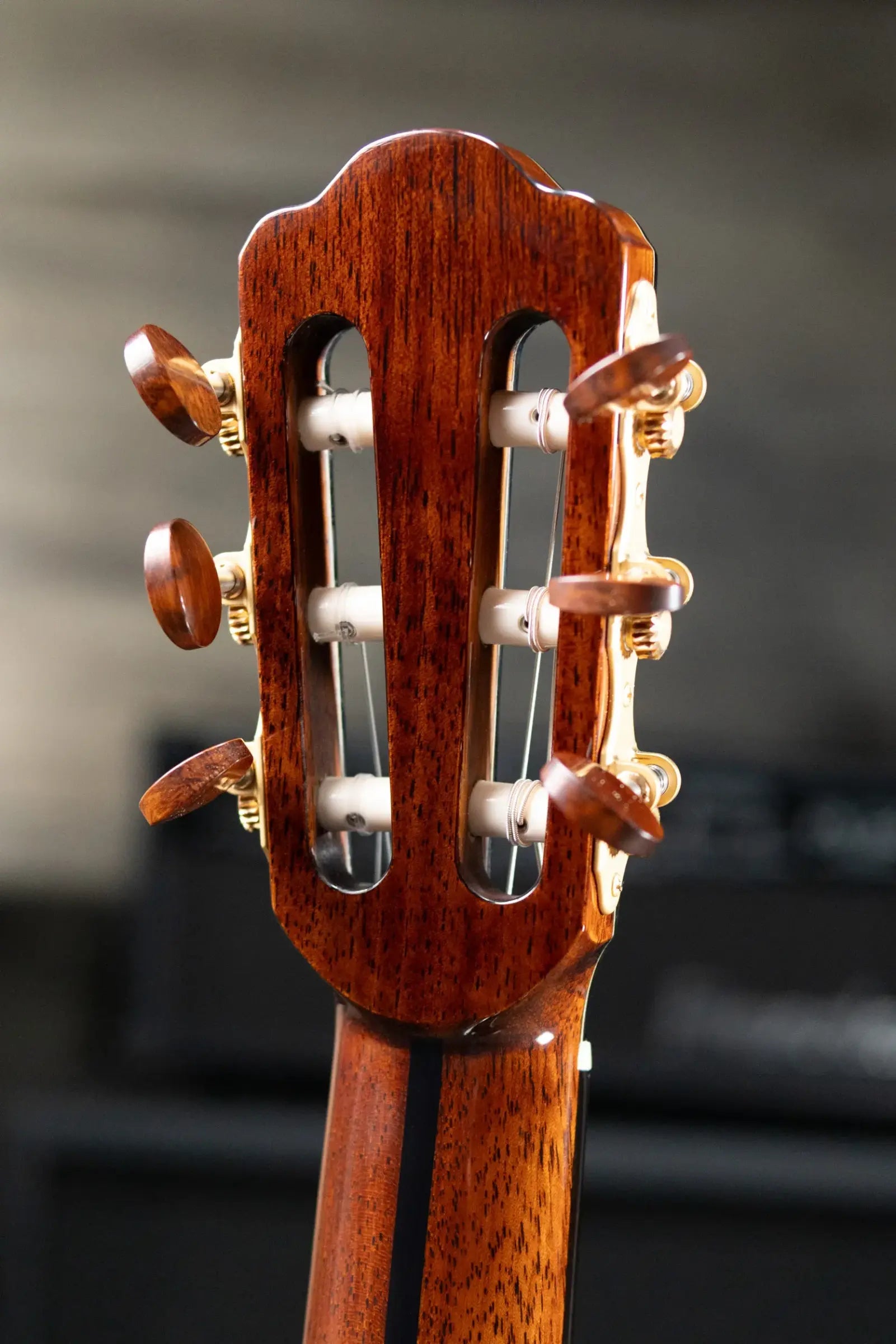 Eastman John Buscarino Cabaret Nylon Acoustic/Electric Guitar - Natural with Hardshell Case