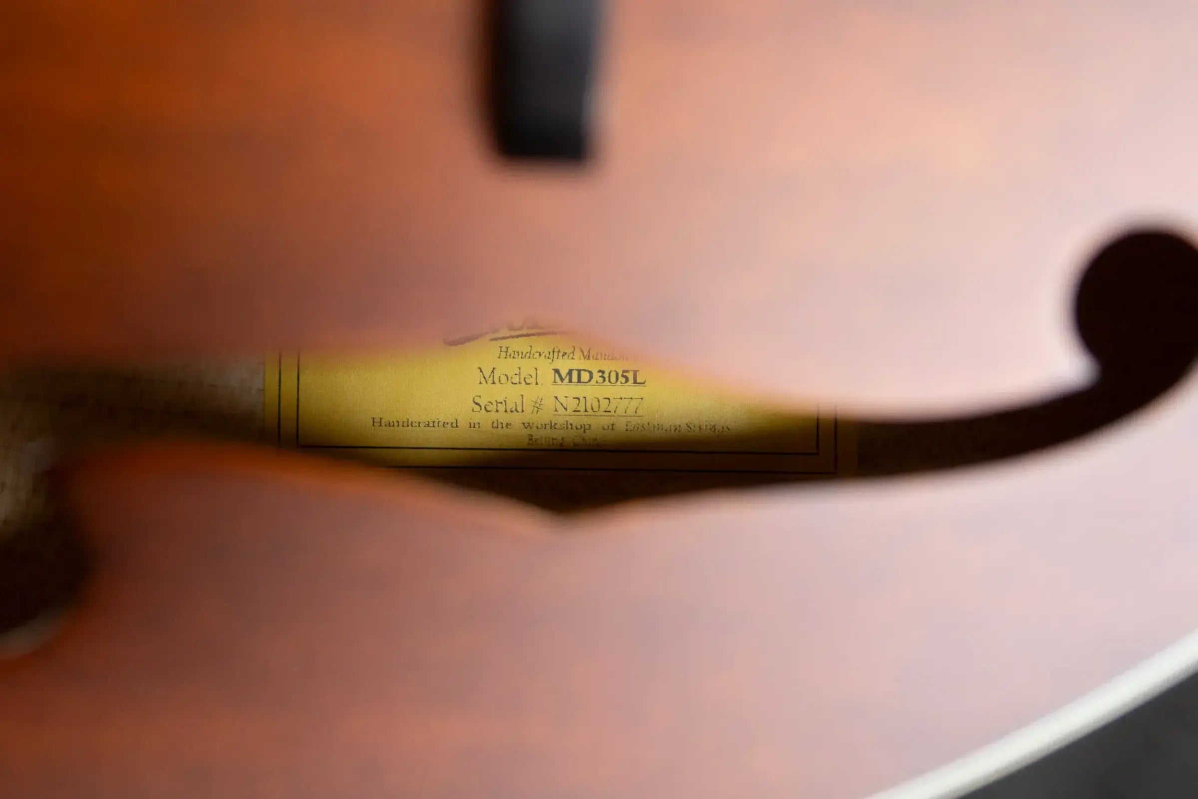 Eastman MD305L Left-Handed A-Style Acoustic Mandolin with Gig Bag