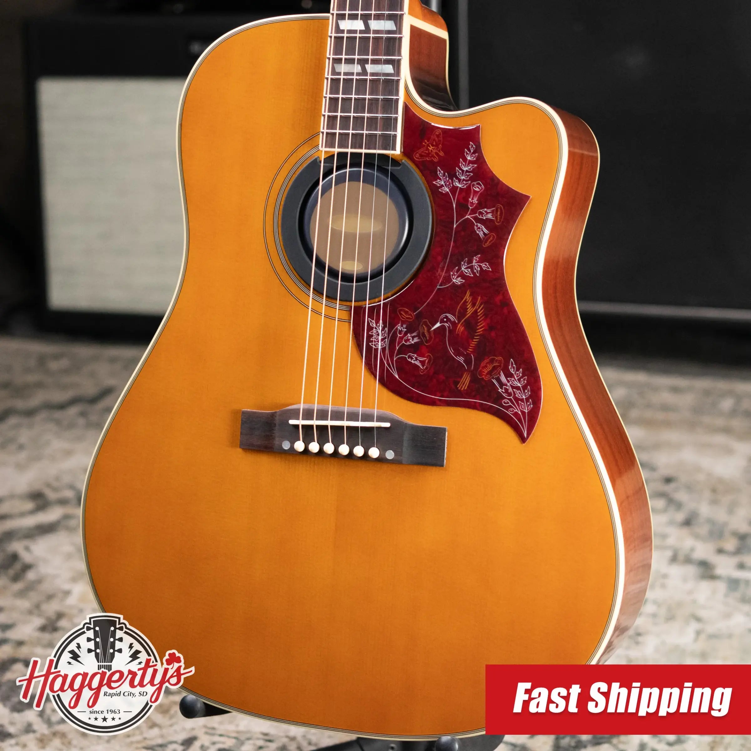 Epiphone Hummingbird Standard EC Acoustic/Electric Guitar - Natural with Gig Bag