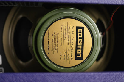 Fender '65 Princeton Reverb - Plum Greenback 120V - Floor Model Demo