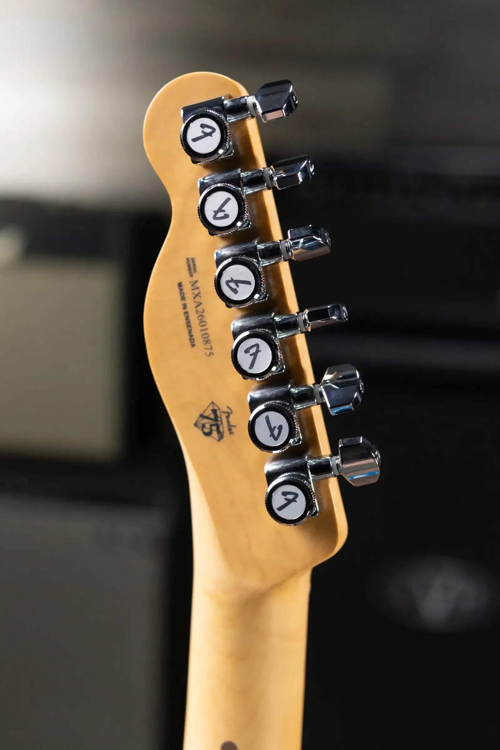 Fender Player II Modified Telecaster Electric Guitar - Electric Blue with Gig Bag