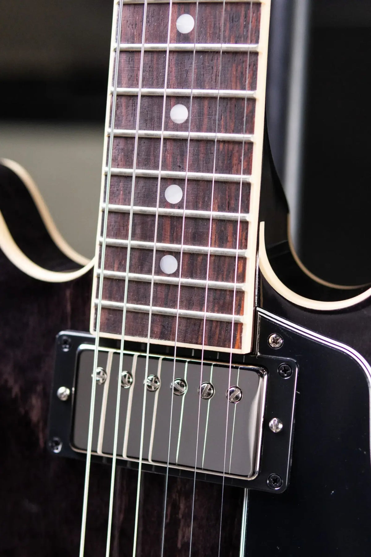 Gibson ES-339 Semi-Hollow Electric Guitar - Transparent Ebony with Hardshell Case