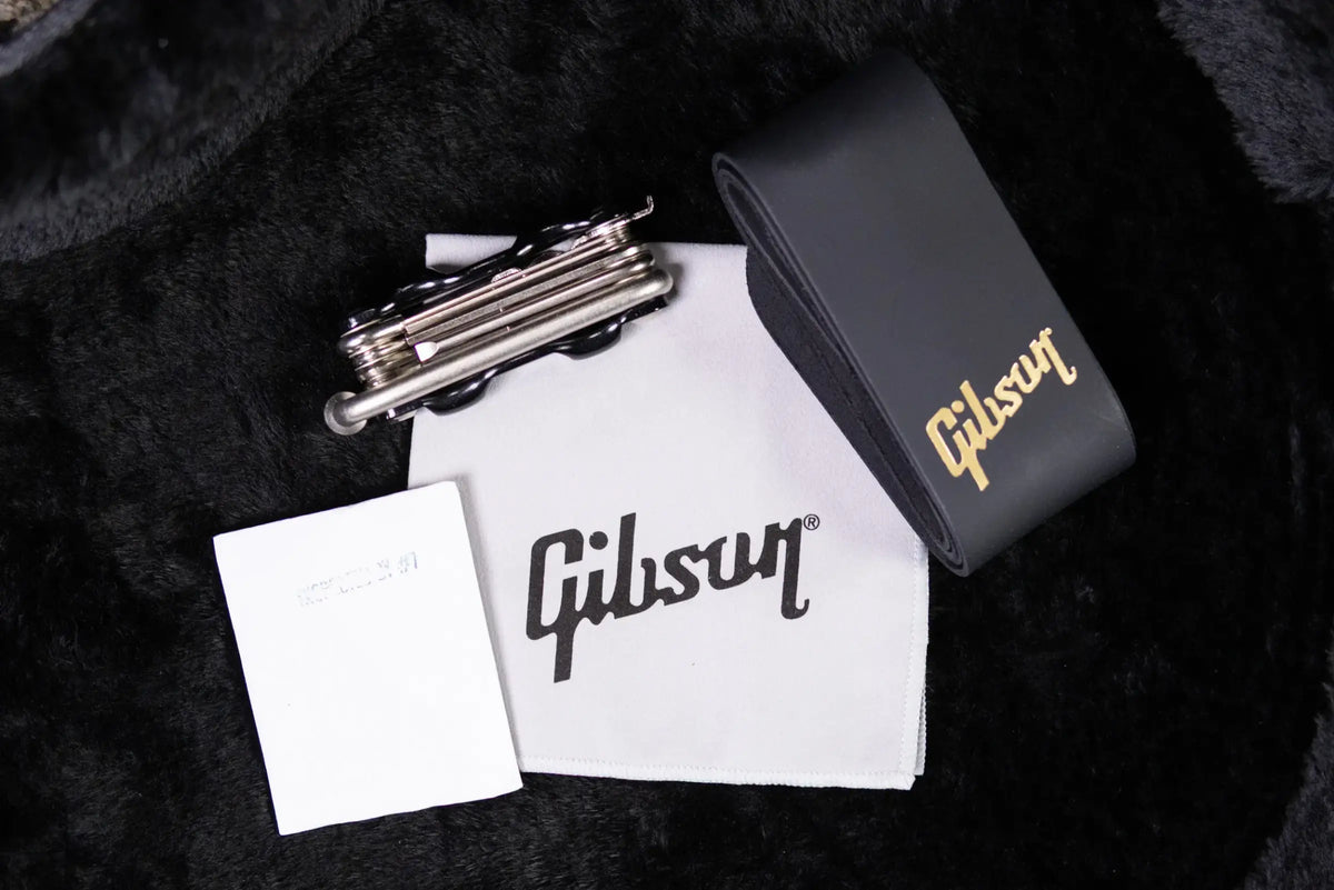 Gibson ES-339 Semi-Hollow Electric Guitar - Transparent Ebony with Hardshell Case