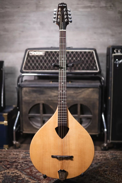 Gold Tone BZ 500 Irish Bouzouki Mandolin haggertys 02
