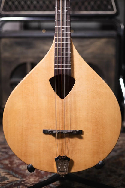 Gold Tone BZ 500 Irish Bouzouki Mandolin haggertys 03
