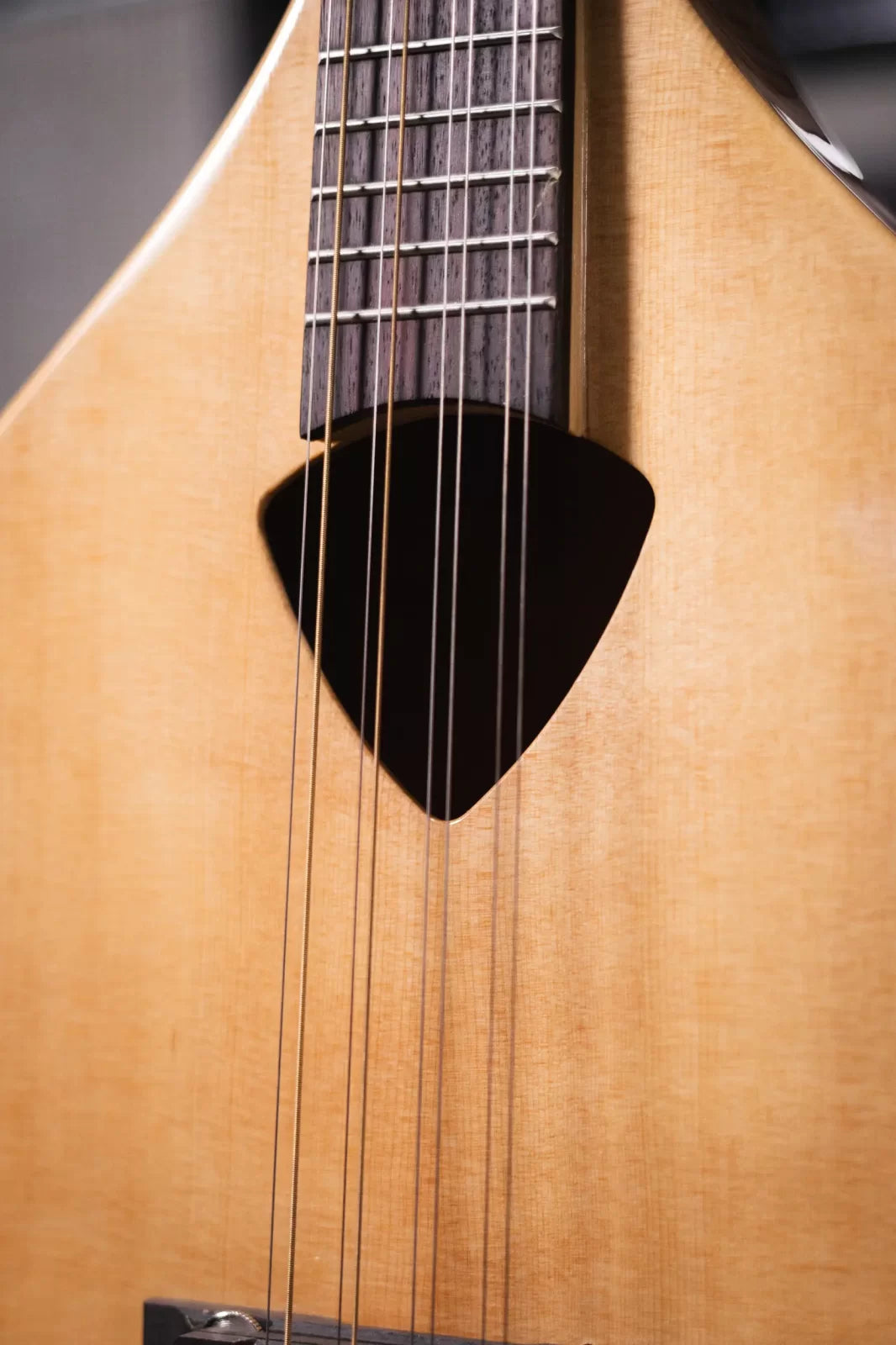 Gold Tone BZ 500 Irish Bouzouki Mandolin haggertys 10