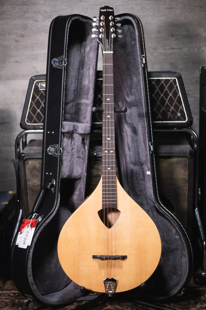 Gold Tone BZ 500 Irish Bouzouki Mandolin haggertys 13