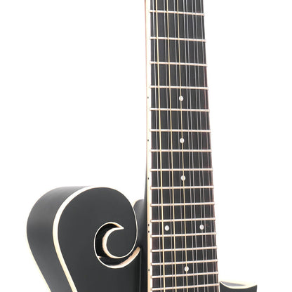 Gold Tone F-12 12-String F-Style Mando-Guitar with Pickup