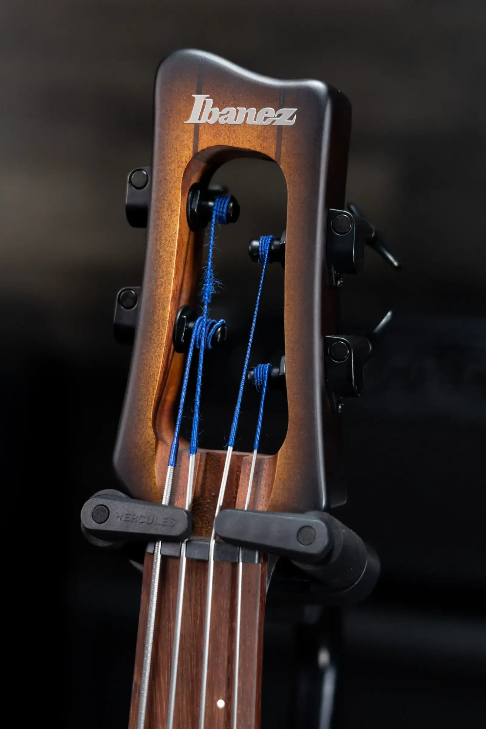 Ibanez Bass Workshop UB804 4-String Electric Upright Bass - Mahogany Oil Burst with Gig Bag