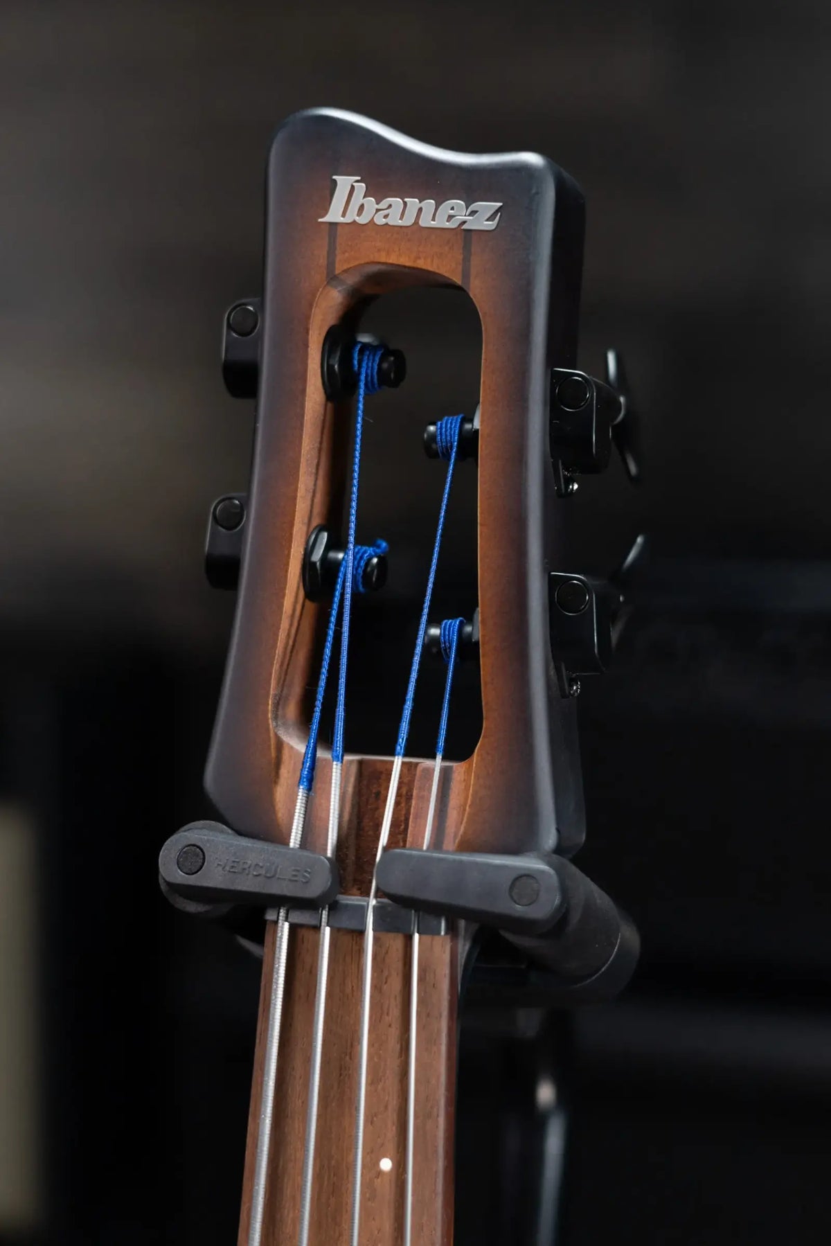 Ibanez Bass Workshop UB804 4-String Electric Upright Bass - Mahogany Oil Burst with Gig Bag