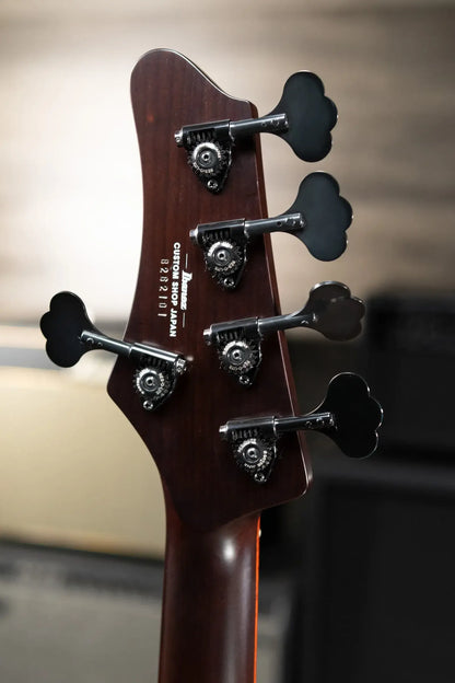 Ibanez MDM Visions Japan Custom Shop 5-String Electric Bass with Case