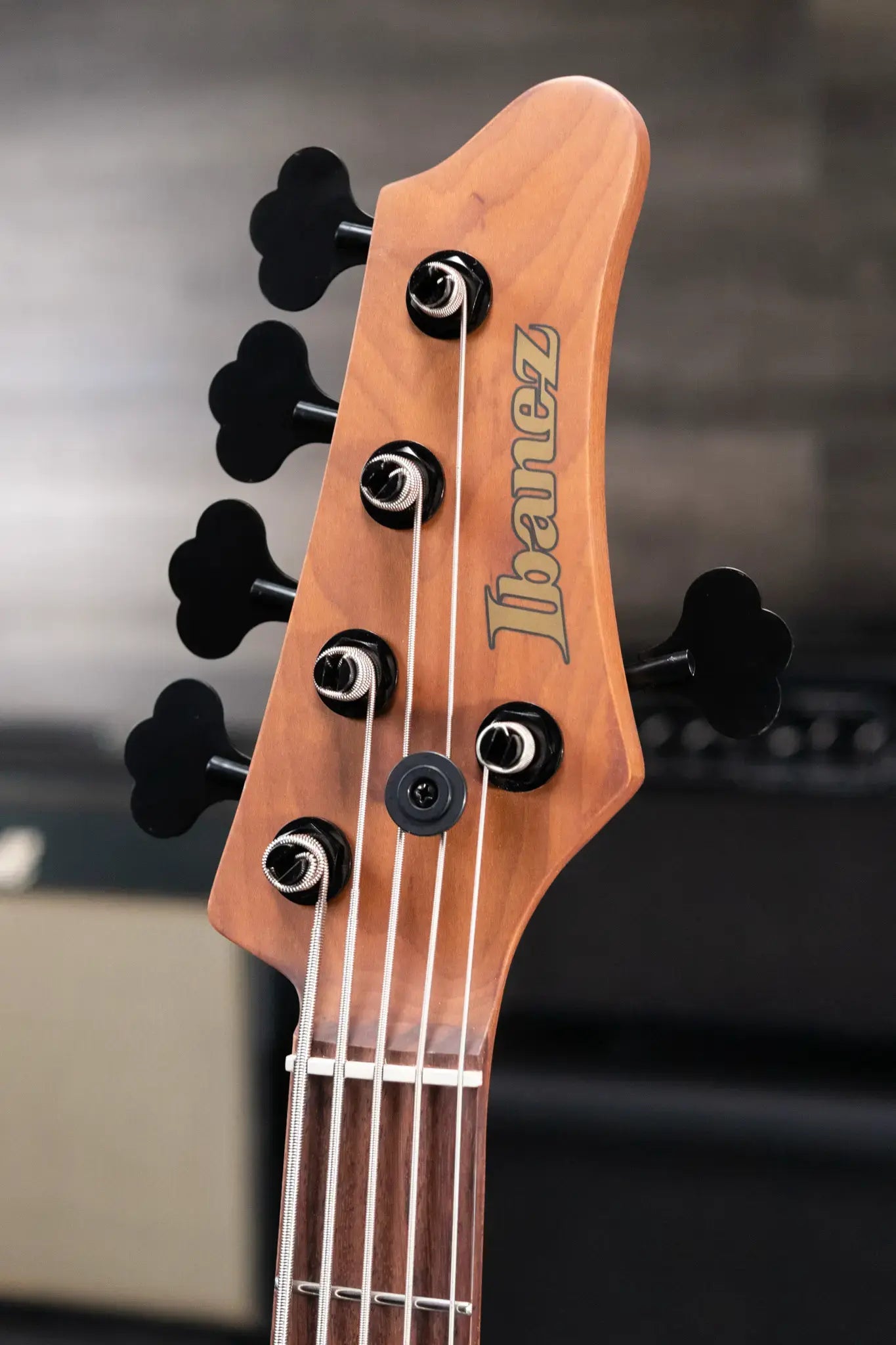 Ibanez Mode MDM1005 5-String Electric Bass Guitar - Midnight Arctic Ocean Matte
